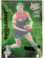 
              2010 AFL Champions - Revelation Gem - Melbourne - Ricky Petterd
            